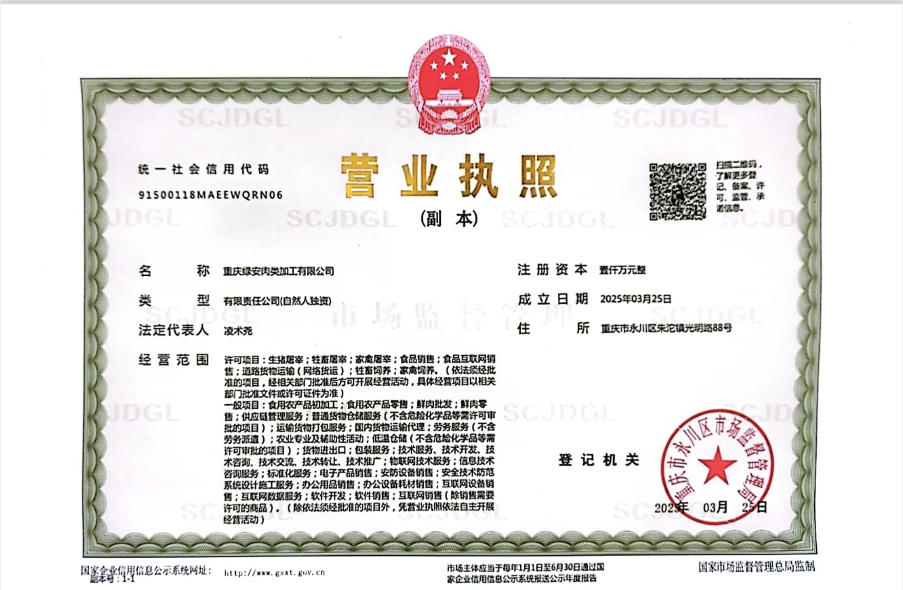 企业营业执照