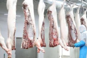 保证生猪产品质量安全 让人民群众吃上“放心肉”